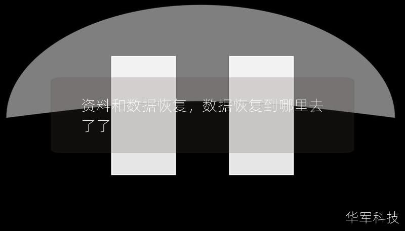 资料和数据恢复，数据恢复到哪里去了了