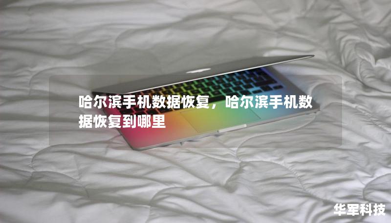 哈尔滨手机数据恢复，哈尔滨手机数据恢复到哪里