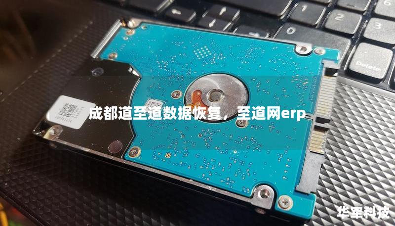 成都道至道数据恢复，至道网erp