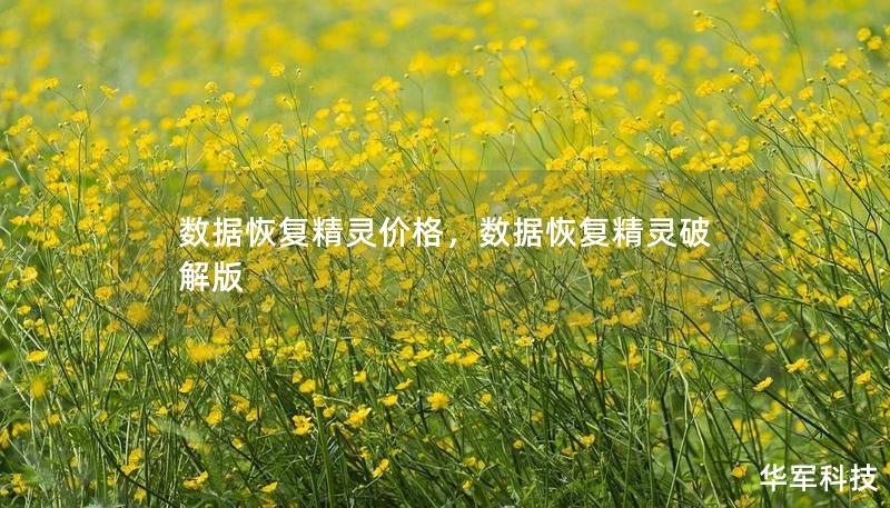数据恢复精灵价格,数据恢复精灵破解版 数据恢复精灵价格,数据恢复精灵破解版