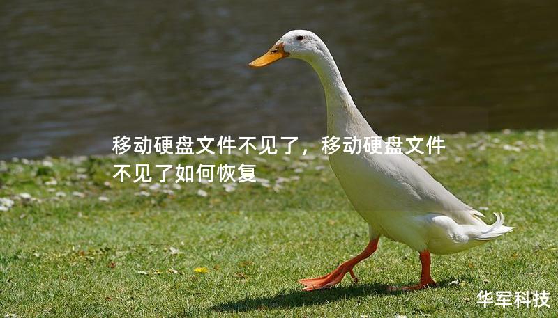 移动硬盘文件不见了，移动硬盘文件不见了如何恢复