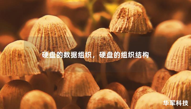 硬盘的数据组织，硬盘的组织结构