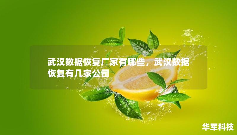 武汉数据恢复厂家有哪些，武汉数据恢复有几家公司