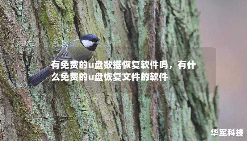 有免费的u盘数据恢复软件吗，有什么免费的u盘恢复文件的软件