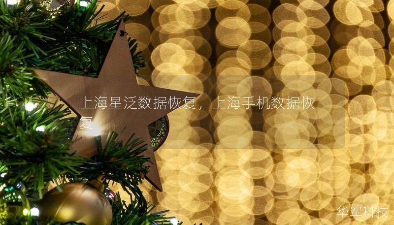 上海星泛数据恢复，上海手机数据恢复