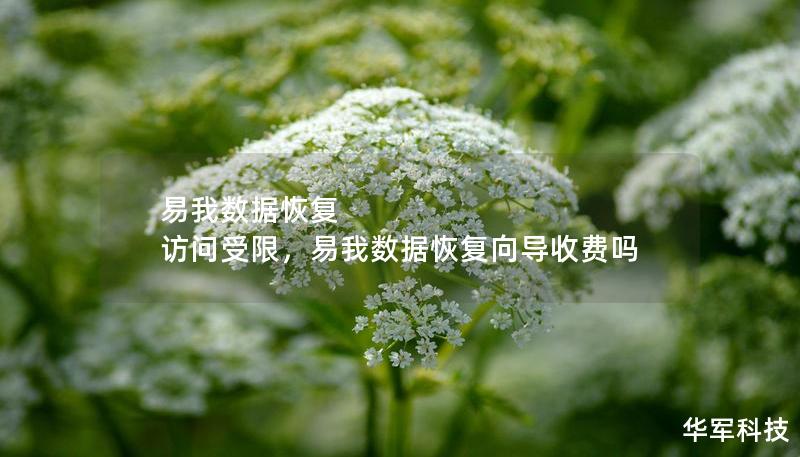 易我数据恢复 访问受限，易我数据恢复向导收费吗