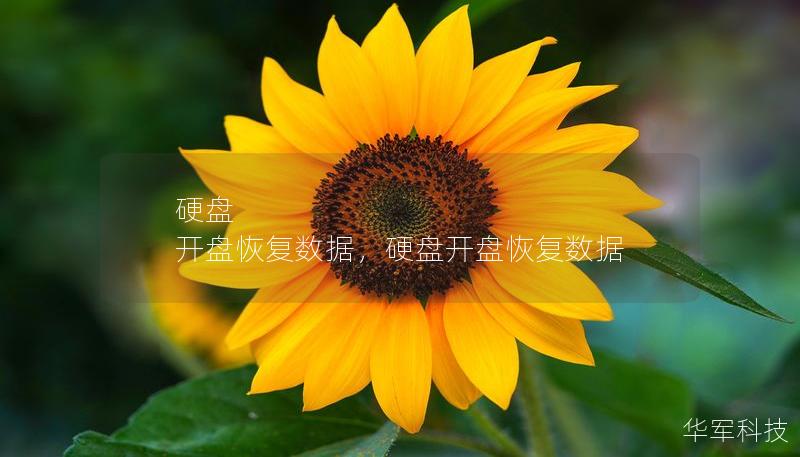 硬盘 开盘恢复数据，硬盘开盘恢复数据