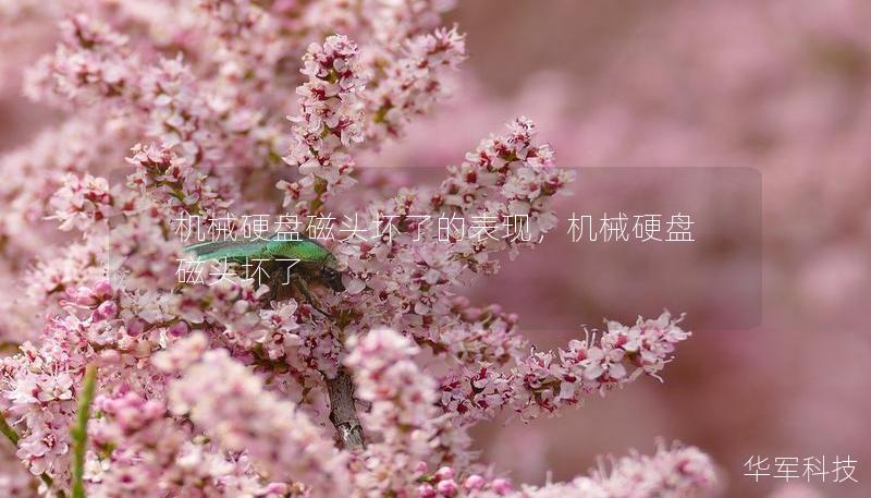 机械硬盘磁头坏了的表现，机械硬盘磁头坏了