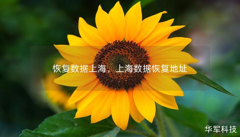 恢复数据上海，上海数据恢复地址