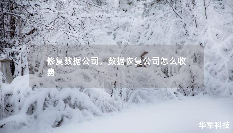 修复数据公司，数据恢复公司怎么收费