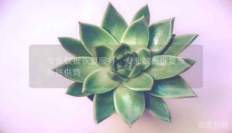 专业数据恢复服务，专业数据恢复服务提供商