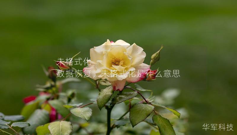 未格式化 数据恢复，未格式化是什么意思