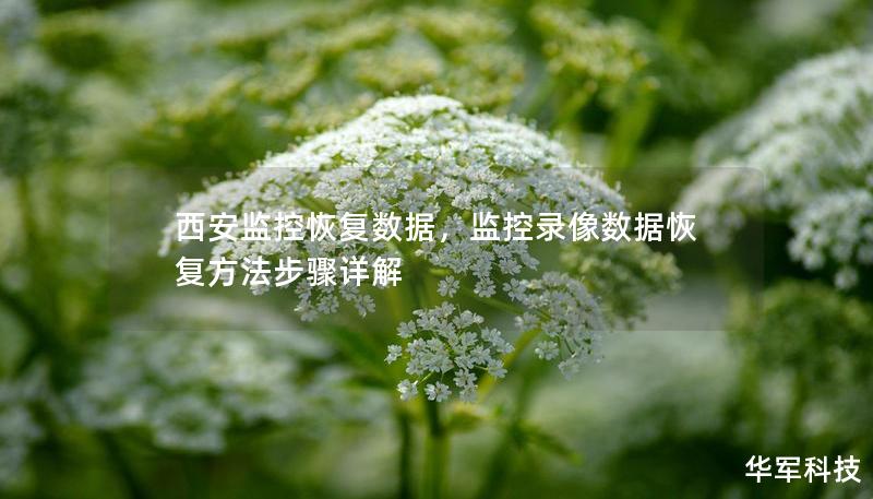 西安监控恢复数据，监控录像数据恢复方法步骤详解