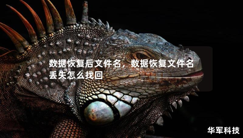 数据恢复后文件名，数据恢复文件名丢失怎么找回