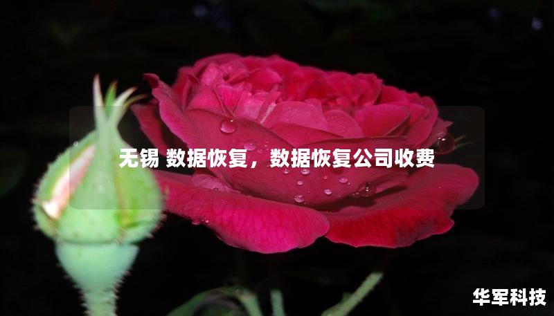 无锡 数据恢复，数据恢复公司收费