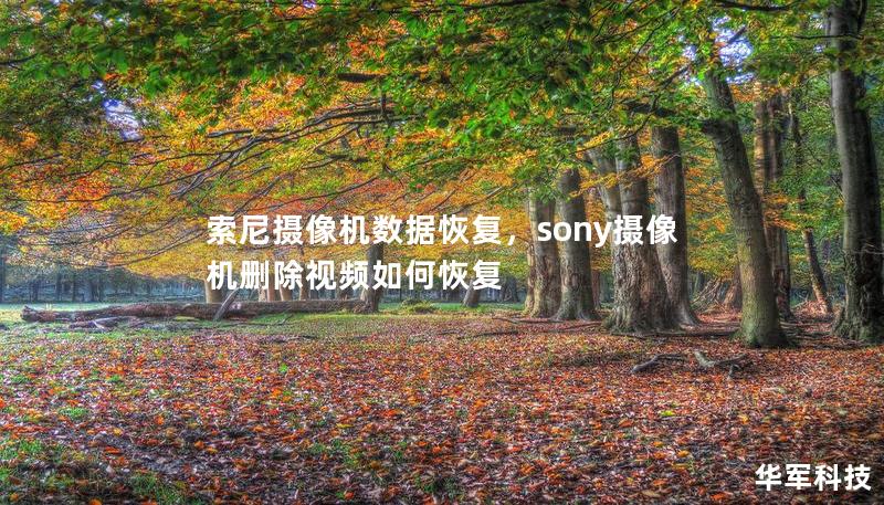 索尼摄像机数据恢复，sony摄像机删除视频如何恢复