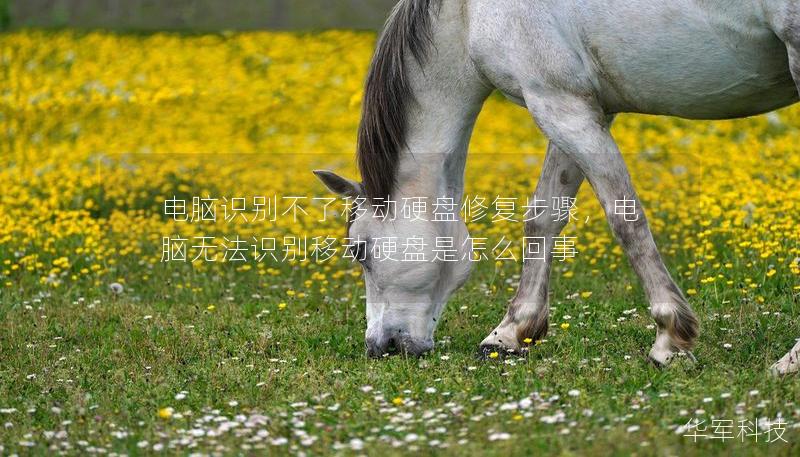 电脑识别不了移动硬盘修复步骤，电脑无法识别移动硬盘是怎么回事