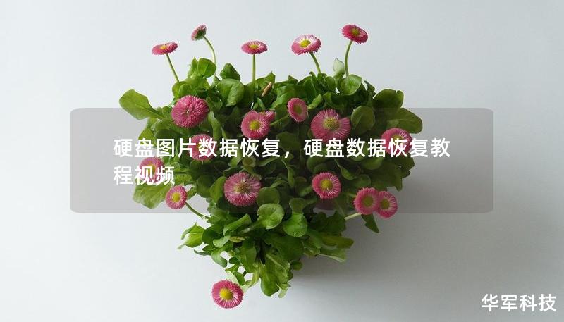 硬盘图片数据恢复，硬盘数据恢复教程视频