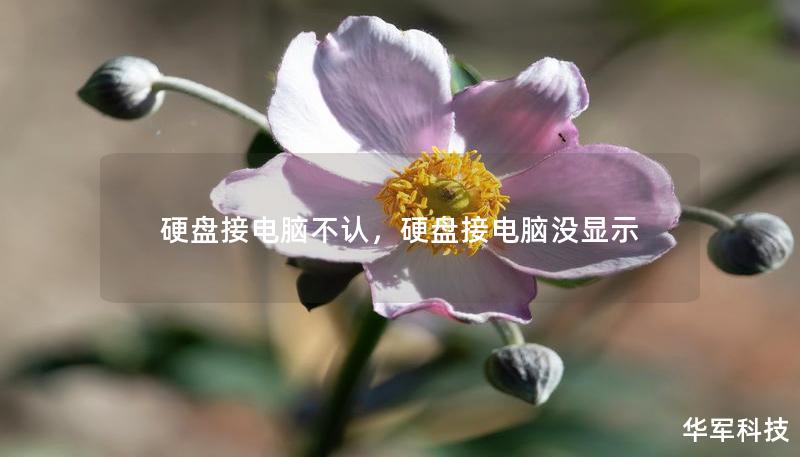 硬盘接电脑不认，硬盘接电脑没显示
