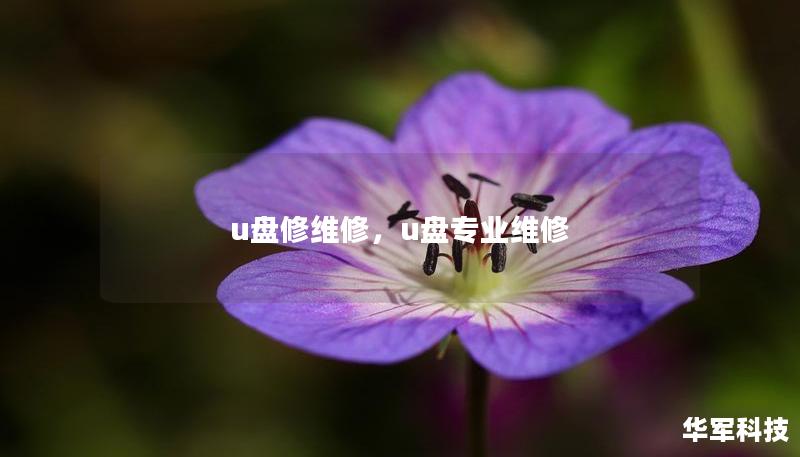 u盘修维修，u盘专业维修