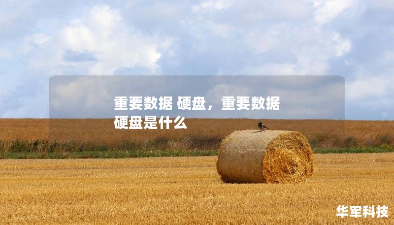 重要数据 硬盘，重要数据 硬盘是什么