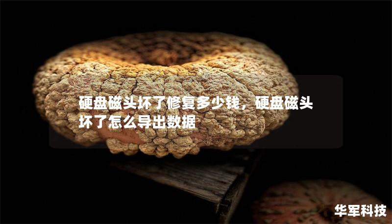 硬盘磁头坏了修复多少钱，硬盘磁头坏了怎么导出数据