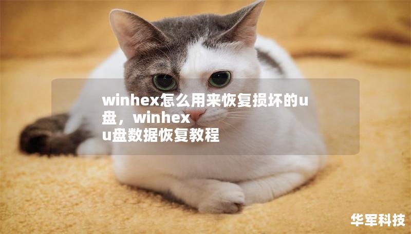 winhex怎么用来恢复损坏的u盘，winhex u盘数据恢复教程