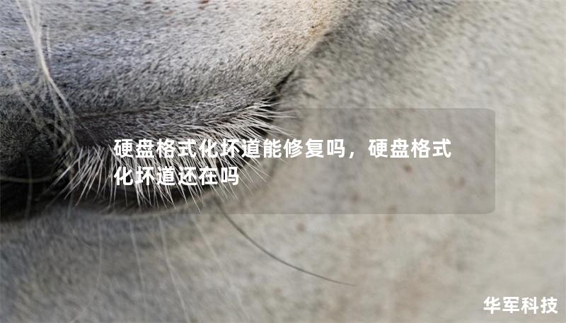硬盘格式化坏道能修复吗，硬盘格式化坏道还在吗