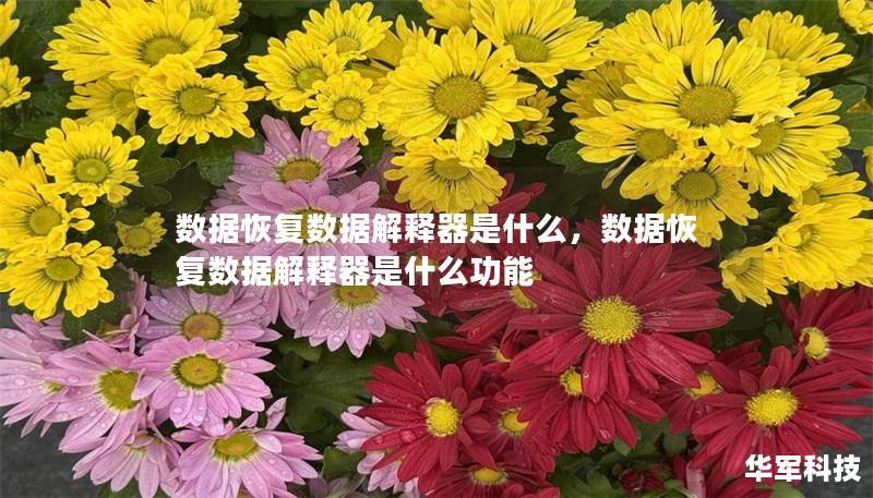 数据恢复数据解释器是什么，数据恢复数据解释器是什么功能