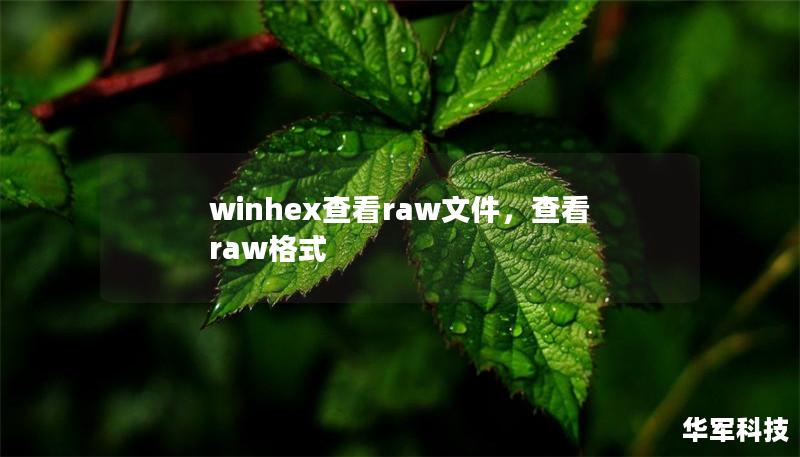 winhex查看raw文件，查看raw格式