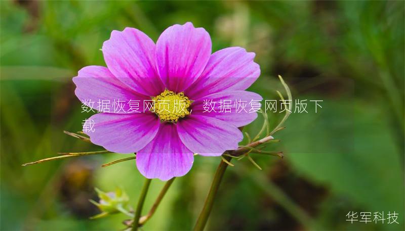数据恢复网页版，数据恢复网页版下载