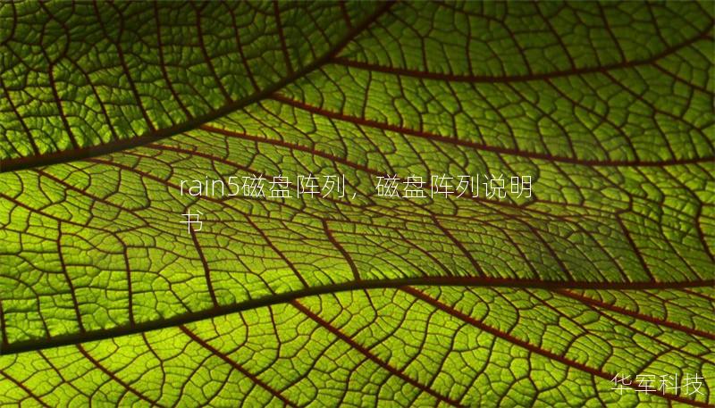 rain5磁盘阵列，磁盘阵列说明书