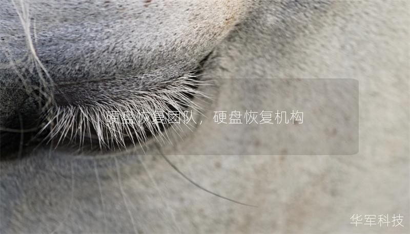 硬盘恢复团队，硬盘恢复机构