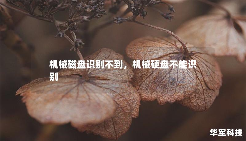 机械磁盘识别不到，机械硬盘不能识别
