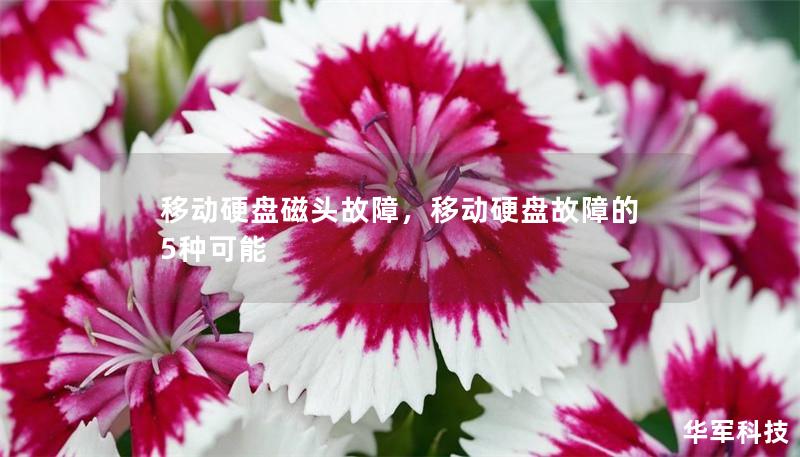 移动硬盘磁头故障，移动硬盘故障的5种可能