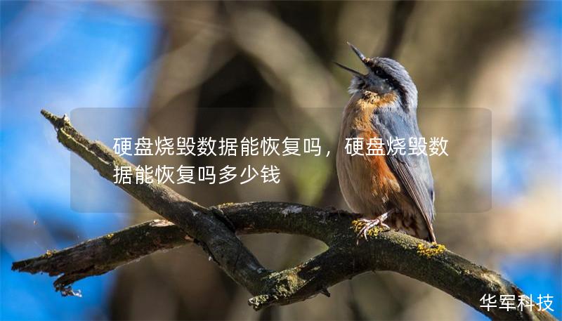 硬盘烧毁数据能恢复吗，硬盘烧毁数据能恢复吗多少钱