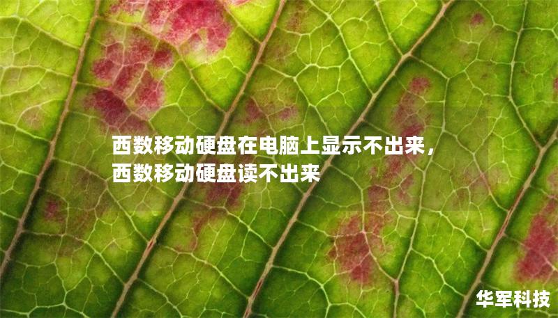 西数移动硬盘在电脑上显示不出来，西数移动硬盘读不出来