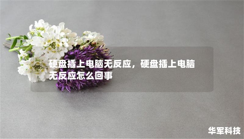 硬盘插上电脑无反应，硬盘插上电脑无反应怎么回事