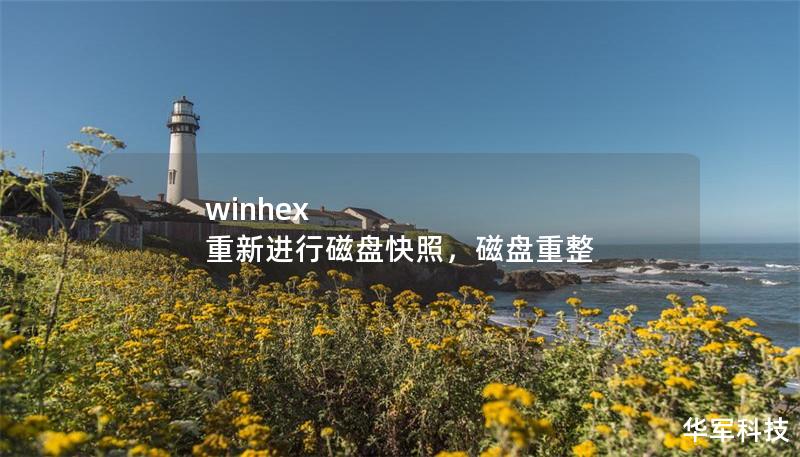 winhex 重新进行磁盘快照，磁盘重整