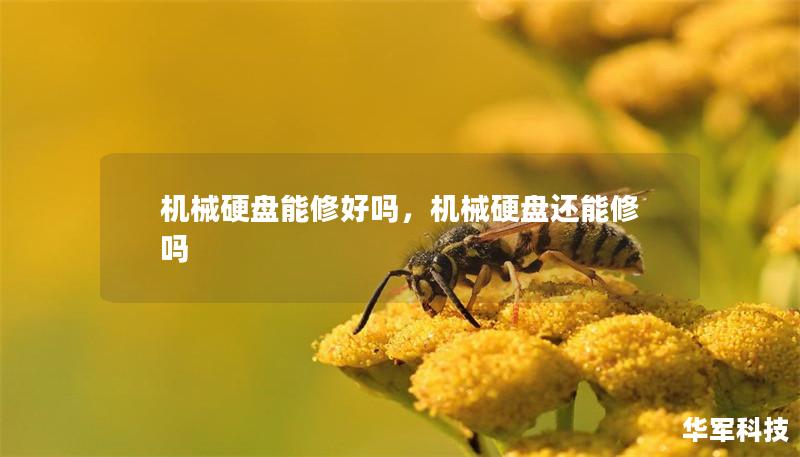 机械硬盘能修好吗，机械硬盘还能修吗