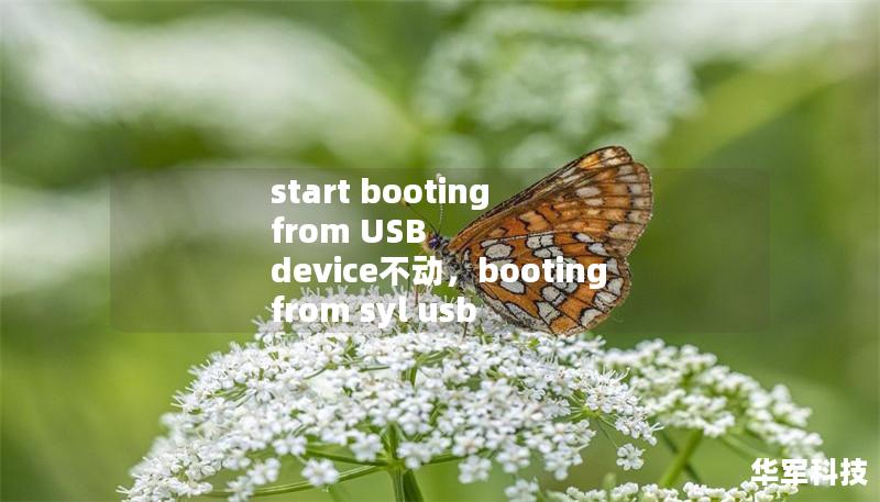 start booting from USB device不动，booting from syl usb disk