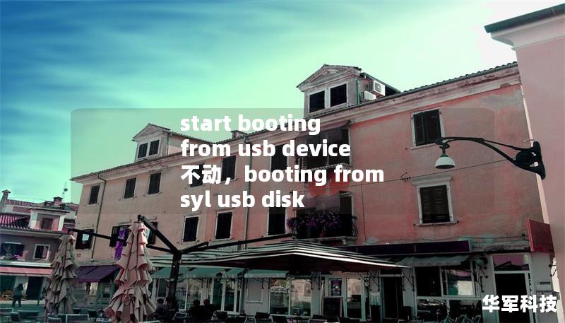 start booting from usb device 不动，booting from syl usb disk
