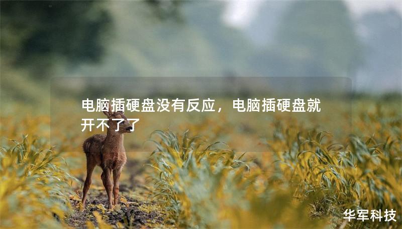电脑插硬盘没有反应，电脑插硬盘就开不了了