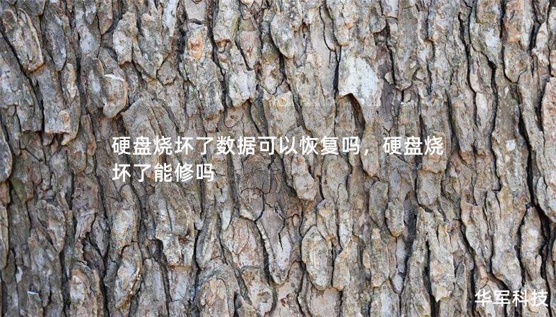 硬盘烧坏了数据可以恢复吗，硬盘烧坏了能修吗