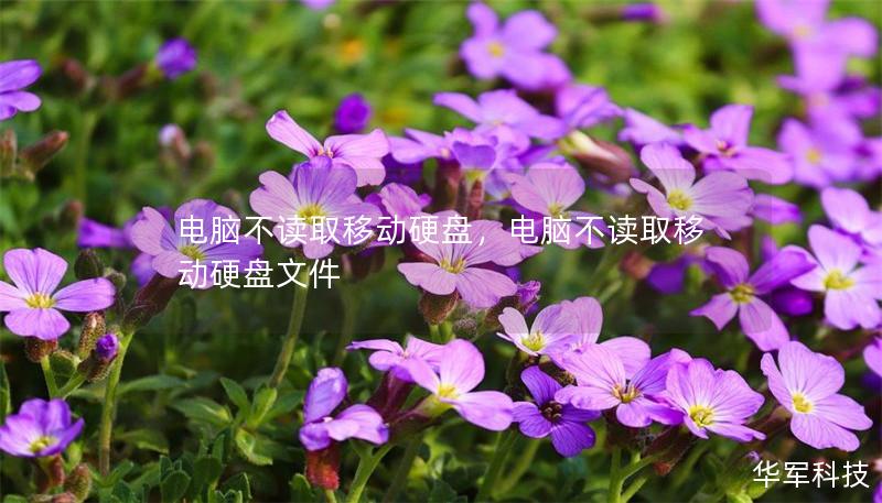 电脑不读取移动硬盘，电脑不读取移动硬盘文件