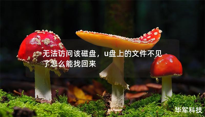 无法访问该磁盘，u盘上的文件不见了怎么能找回来