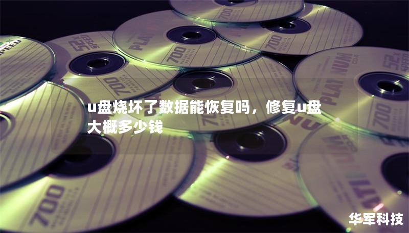 u盘烧坏了数据能恢复吗，修复u盘大概多少钱