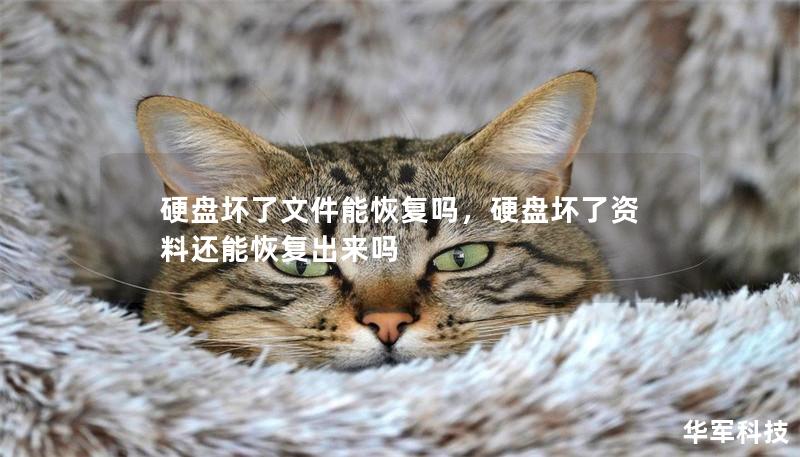 硬盘坏了文件能恢复吗，硬盘坏了资料还能恢复出来吗
