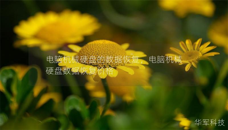 电脑机械硬盘的数据恢复，电脑机械硬盘数据恢复价格