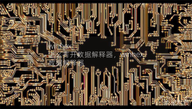 wihhex 怎么打开数据解释器，winhex 数据解释器